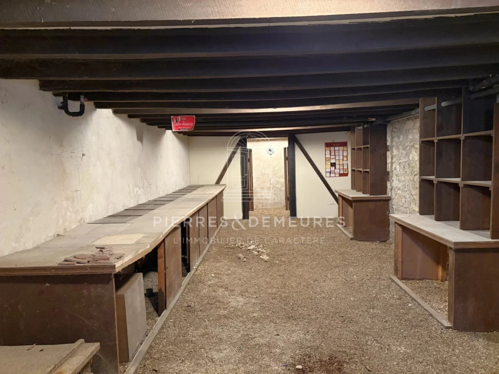 MAISON DE CARACTÈRE A VENDRE A LA CHAPELLE-SAINT-URSIN - MAISON DE VILLE AVEC JARDIN - MAISON FAMILIALE - PARQUETS - CHEMINÉES - GARAGE - CAVE