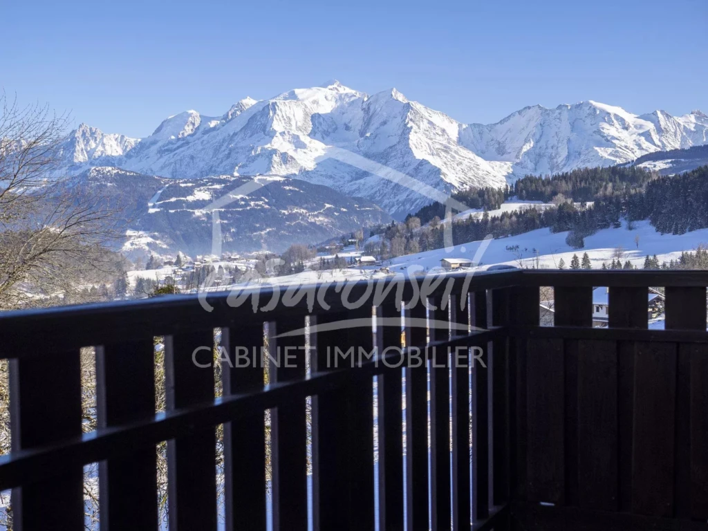 la vue sur le massif du Mont Blanc
