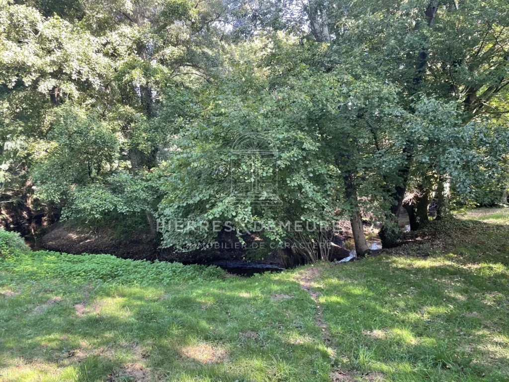 vivre au coeur de la anture-potager-verger-poulailler-vie en autonomie-vie en autarcie-pêche-étang empoissonné-rivière