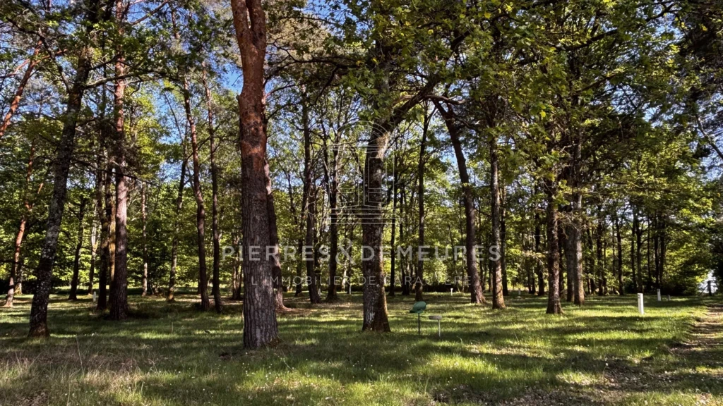 CAMPING A VENDRE - PARC DE LOISIRS - SITE TOURISTIQUE A VENDRE - DOMAINE DE RECEPTION - LIEU DE RESSOURCEMENT - CAMPUS NATURE - VILLAGE D'ACCUEIL - RESTAURANT - PROJET EVENEMENTIEL -