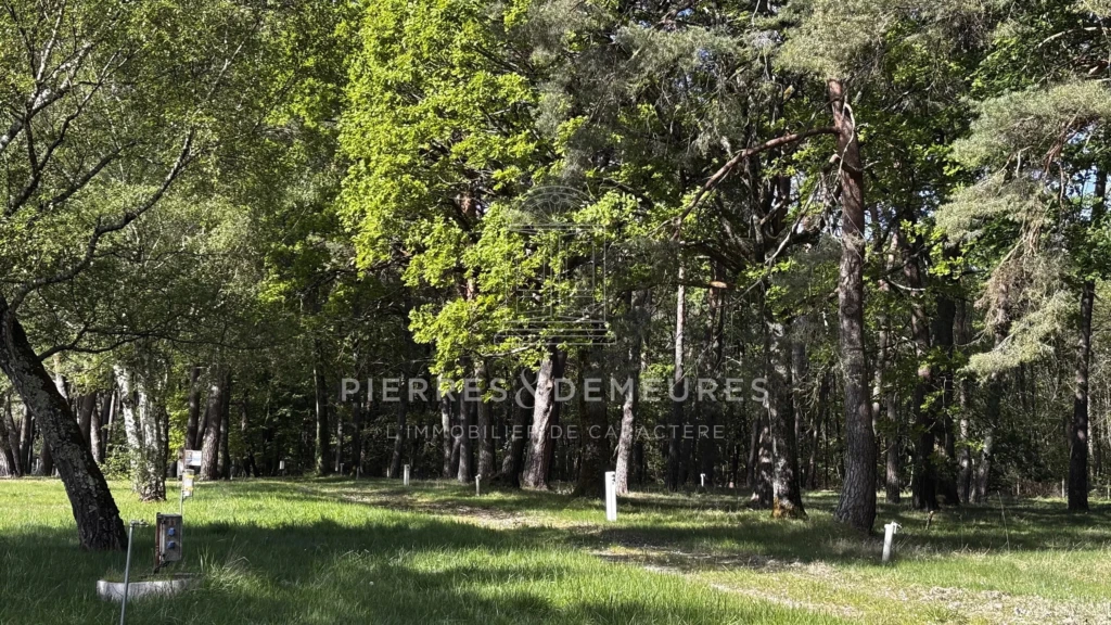 CAMPING A VENDRE - PARC DE LOISIRS - SITE TOURISTIQUE A VENDRE - DOMAINE DE RECEPTION - LIEU DE RESSOURCEMENT - CAMPUS NATURE - VILLAGE D'ACCUEIL - RESTAURANT - PROJET EVENEMENTIEL -