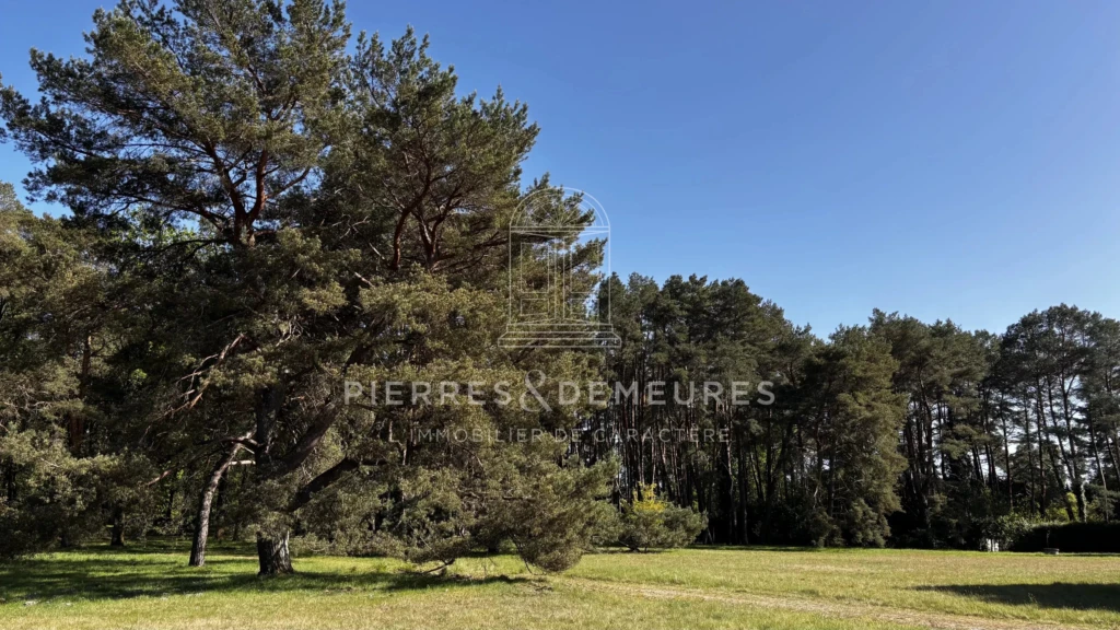 CAMPING A VENDRE - PARC DE LOISIRS - SITE TOURISTIQUE A VENDRE - DOMAINE DE RECEPTION - LIEU DE RESSOURCEMENT - CAMPUS NATURE - VILLAGE D'ACCUEIL - RESTAURANT - PROJET EVENEMENTIEL -