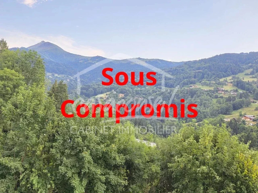 La vue sur le Mont Joly