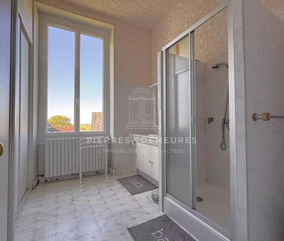 CHATEAU A RENOVER - CHATEAU A VENDRE DANS L'INDRE - CHATEAU AVEC PARC BOISE - CHATEAU AVEC PISCINE - CHATEAU AVEC DEPENDANCES - CREATION GITE CHAMBRES D'HOTES ET SALLES DE SEMINAIRES -