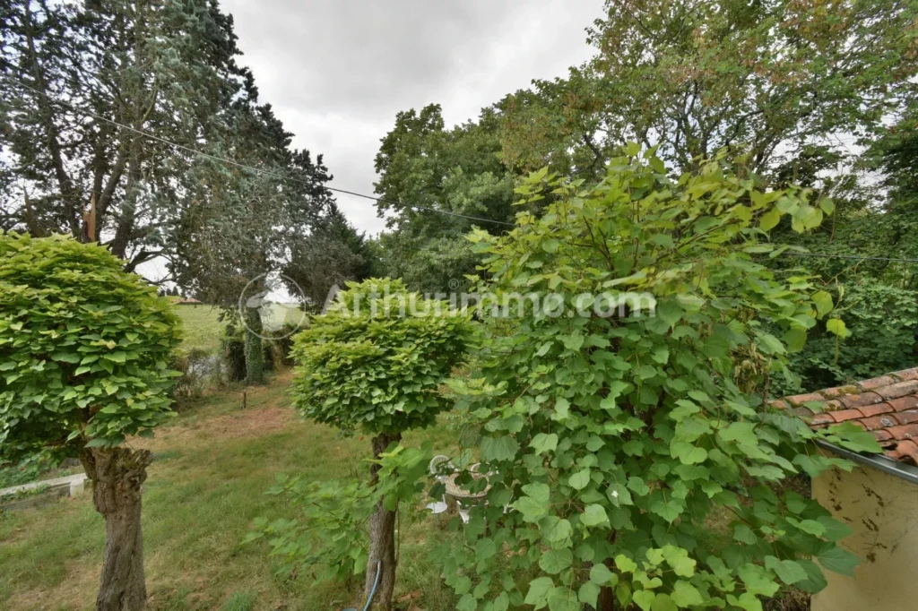 Arboré Beaupuy Belle vue Campagne Grand espace Mezzanine Potentiel Terrain divisible Véranda