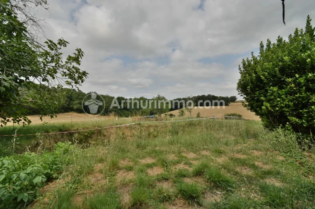 Arboré Beaupuy Belle vue Campagne Grand espace Mezzanine Potentiel Terrain divisible Véranda