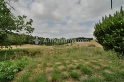 Arboré Beaupuy Belle vue Campagne Grand espace Mezzanine Potentiel Terrain divisible Véranda