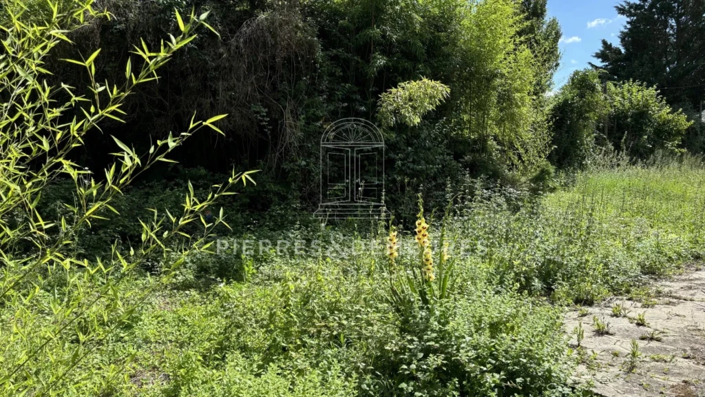 FERMETTE - VIVRE A LA CAMPAGNE - MAISON A VENDRE A MONTIPOURET - GRANGE RENOVEE - MAISON DE CAMPAGNE - PIERRE - POUTRES APPARENTES - SEJOUR CATHEDRAL - MEZZANINE - BIEN ATYPIQUE