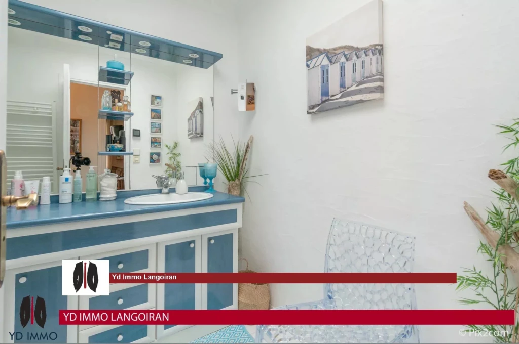 Immobilier