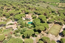 Grande propriété entourée d'arbres avec piscine et terrain de tennis.
