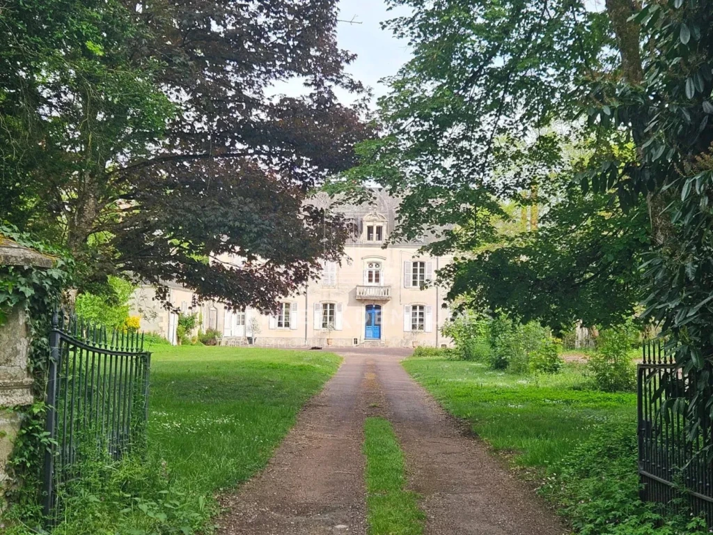 CHATEAU A RENOVER - CHATEAU A VENDRE DANS L'INDRE - CHATEAU AVEC PARC BOISE - CHATEAU AVEC PISCINE - CHATEAU AVEC DEPENDANCES - CREATION GITE CHAMBRES D'HOTES ET SALLES DE SEMINAIRES -