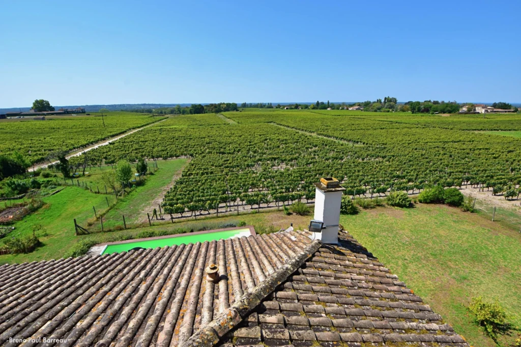 CHATEAU TRILLON - SAUTERNES
