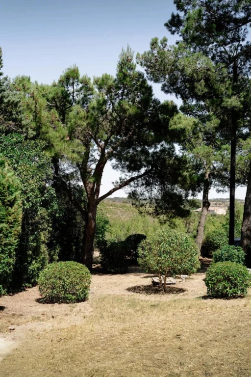 LES RESIDENCES DU SOLEIL FORSTNER