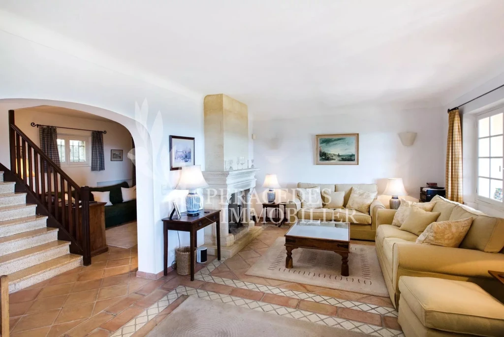 Salon, lumière naturelle, cheminée, carrelage