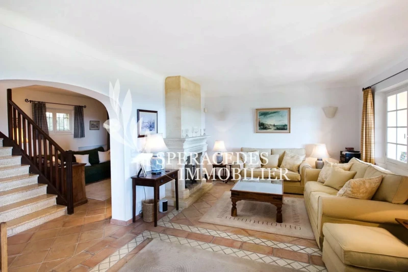 Salon, lumière naturelle, cheminée, carrelage