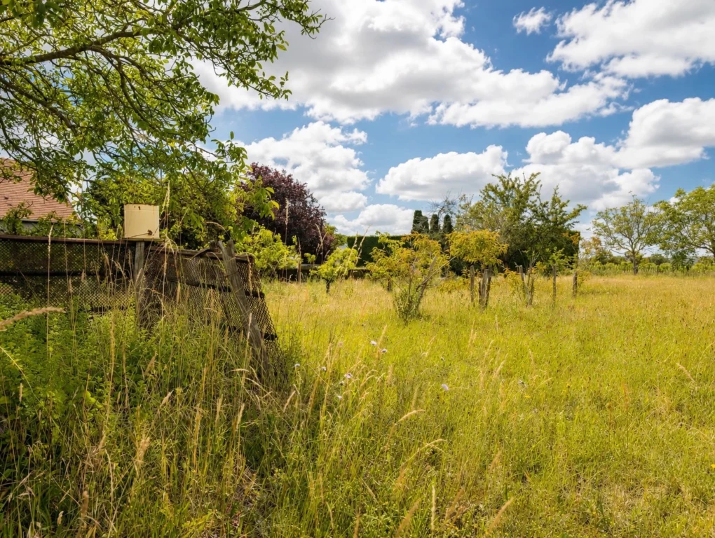 jardin/verger