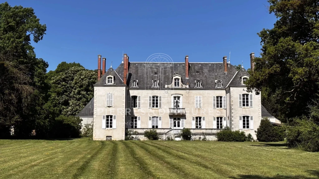 CHATEAU A RENOVER - CHATEAU A VENDRE DANS L'INDRE - CHATEAU AVEC PARC BOISE - CHATEAU AVEC PISCINE - CHATEAU AVEC DEPENDANCES - CREATION GITE CHAMBRES D'HOTES ET SALLES DE SEMINAIRES -