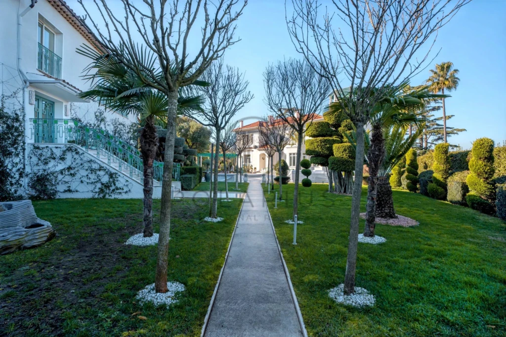 Allée bordée d'arbres menant à une maison élégante avec un jardin bien entretenu.