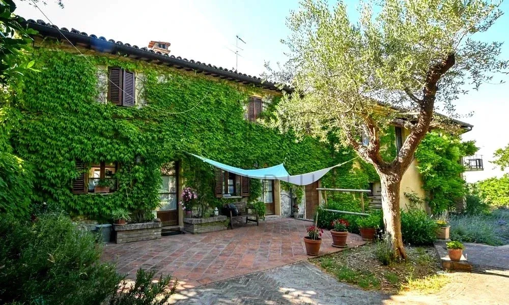 Charmante maison couverte de végétation avec jardin spacieux et espace extérieur agréable.