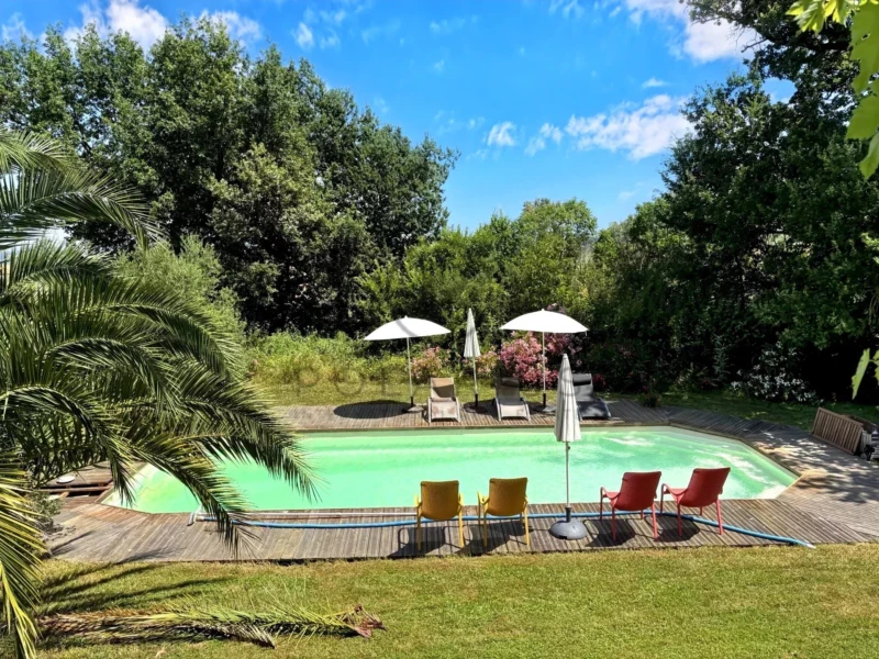 Une piscine entourée de chaises colorées et de parasols, avec des arbres en arrière-plan sous un ciel bleu.