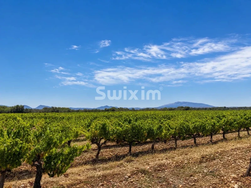 Agence immobilière Swixim Grignan