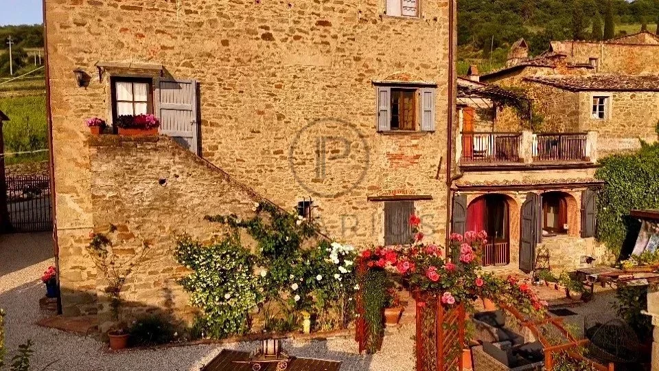 Charmante maison en pierre avec un jardin fleuri dans un village pittoresque en Provence.