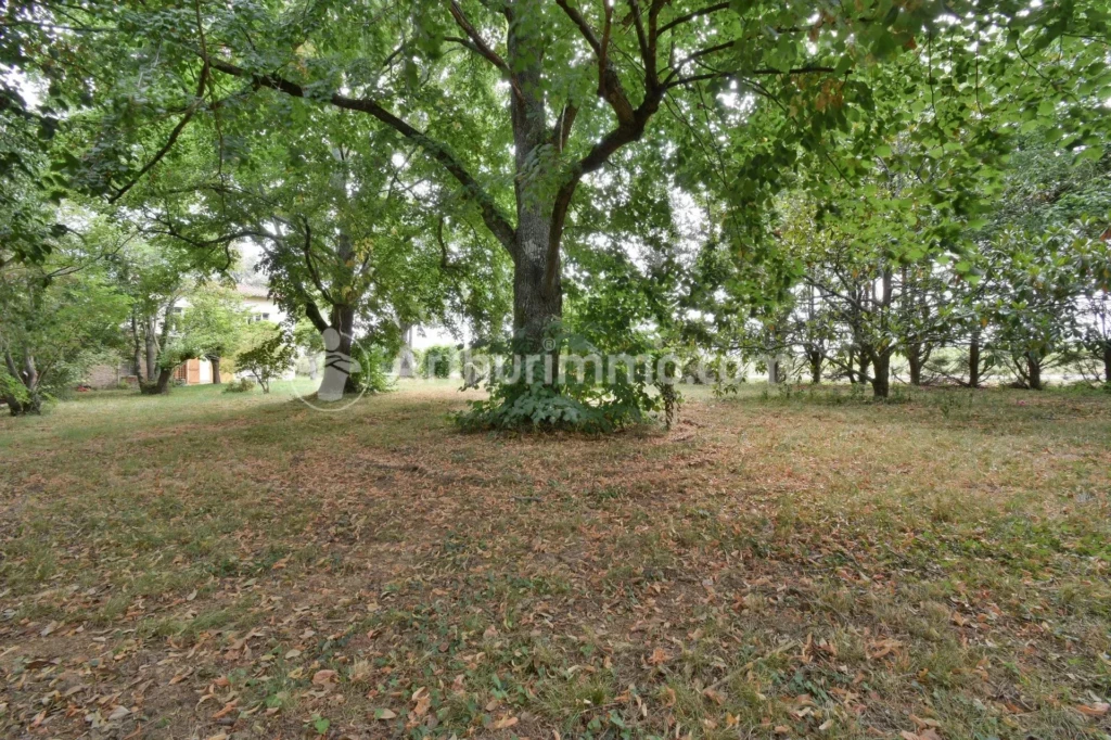 Arboré Beaupuy Belle vue Campagne Grand espace Mezzanine Potentiel Terrain divisible Véranda
