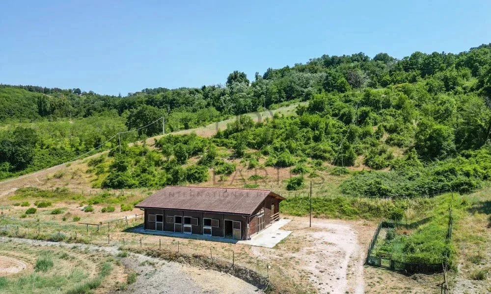 Charmante cabane en pleine nature avec vue panoramique.
