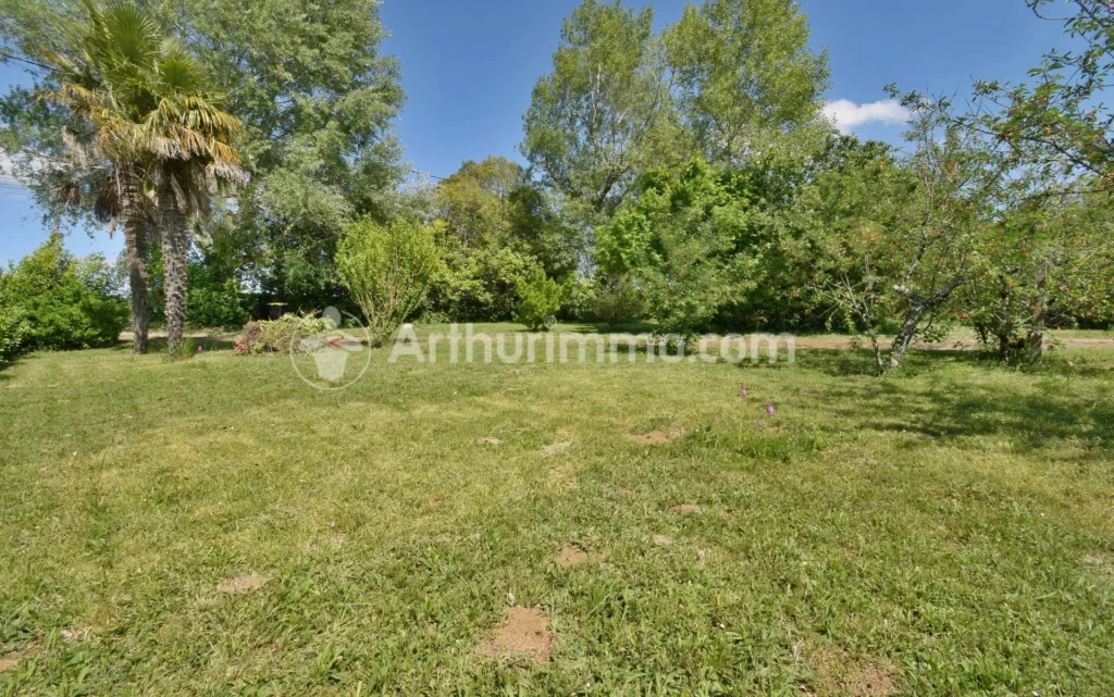 arboré Campagne Garrigues Gragnague Grand Montastruc-la-Conseillère Montpitol Plat terrain constructible