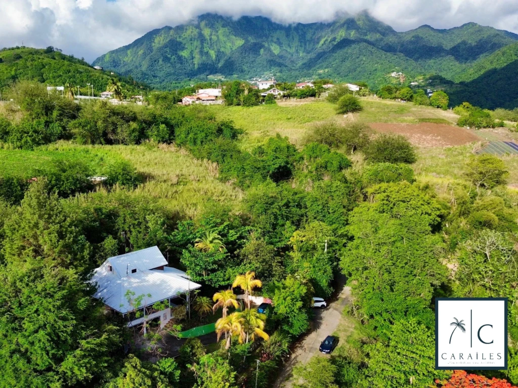 Charmante propriété entourée de verdure avec vue sur les montagnes.