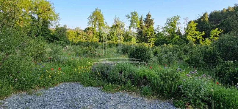 Libre constructeur, 30% d'emprise au sol