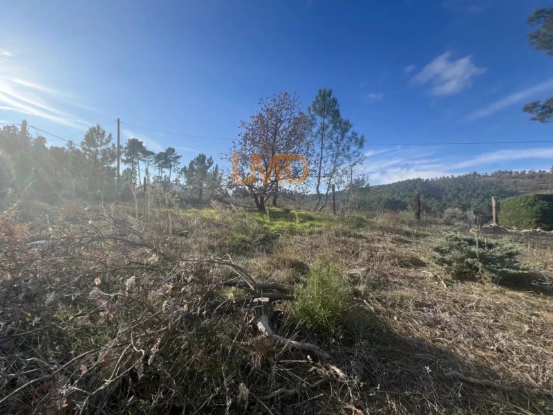 Ardèche terrain