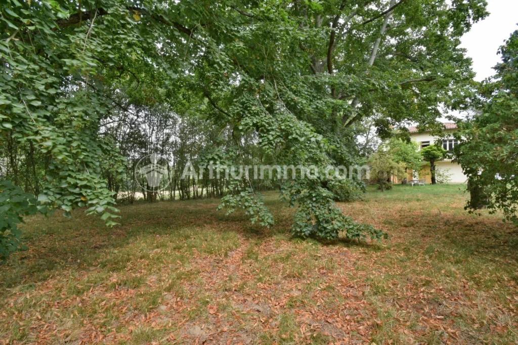 Arboré Beaupuy Belle vue Campagne Grand espace Mezzanine Potentiel Terrain divisible Véranda
