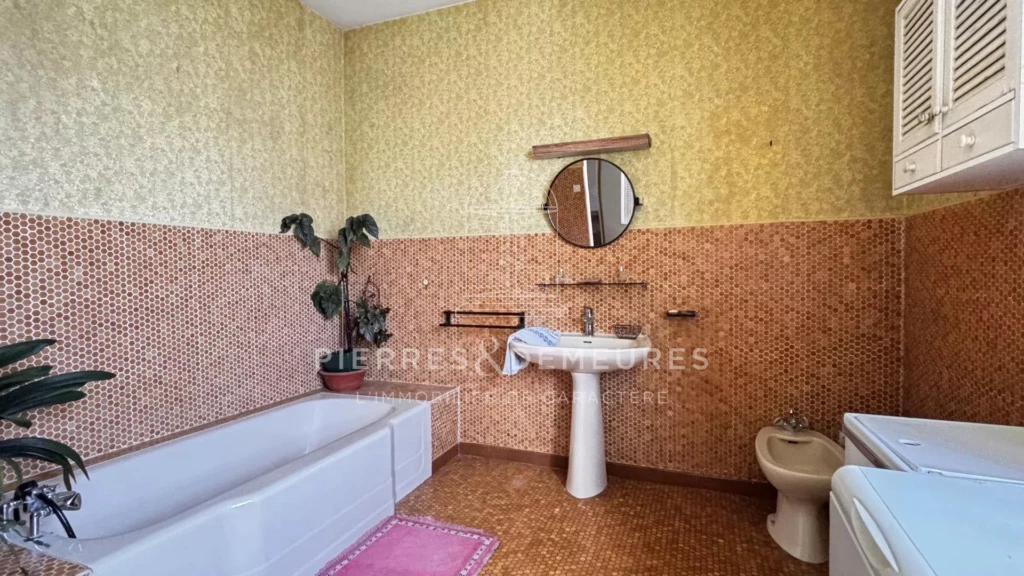 MANOIR - DEPENDANCES EN PIERRE - PROPRIETE AGRICOLE - BIEN DE CHARME - BIEN DE CARACTERE - FERME AVEC PRAIRIE ET BOIS - PROPRIETE A VENDRE A CHATEAUROUX - DOMAINE AGRICOLE A VENDRE DANS l'INDRE  