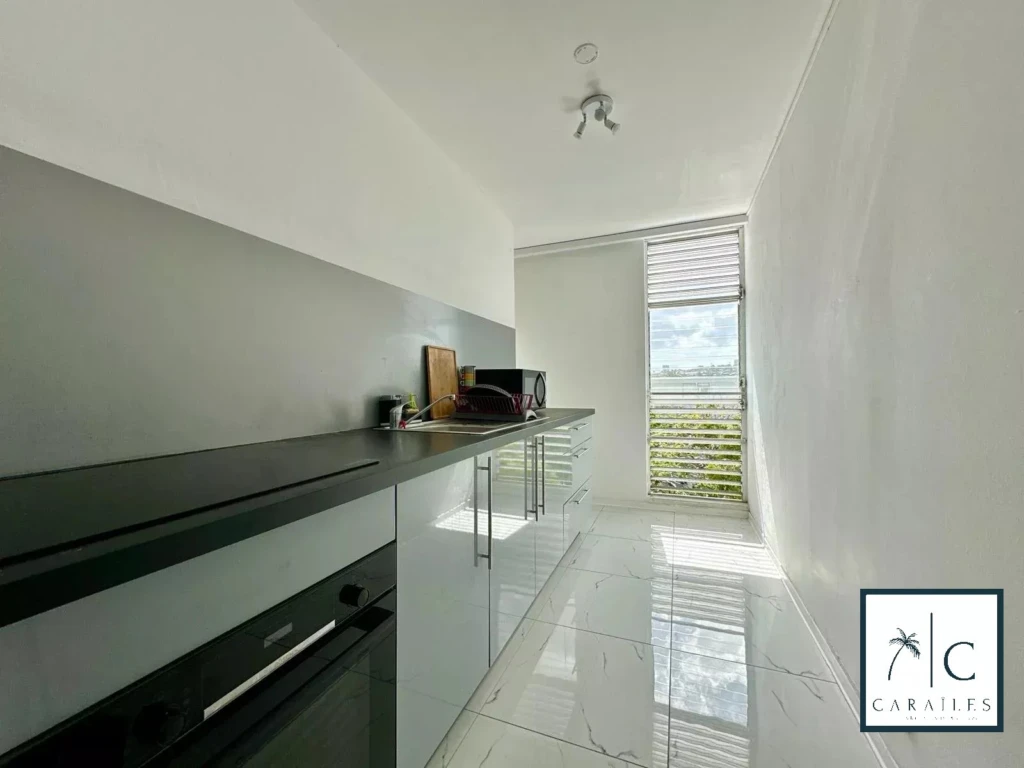 Cet espace lumineux et modern est parfait pour une vie confortable.