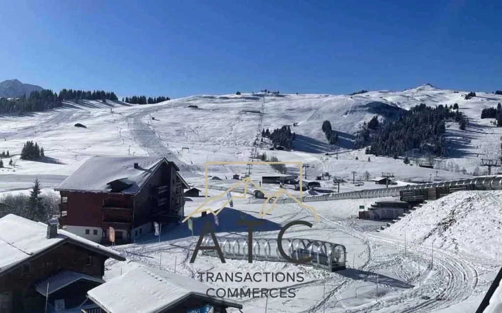 FONT DE NEIGE STATION INTERNATIONALE