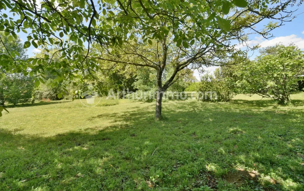 arboré Campagne Garrigues Gragnague Grand Montastruc-la-Conseillère Montpitol Plat terrain constructible