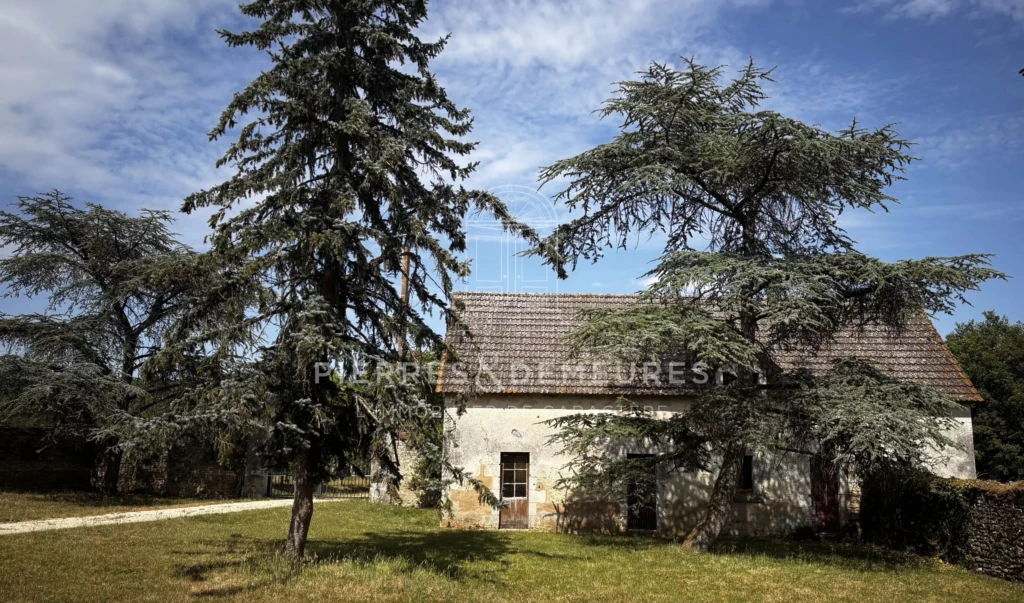 MANOIR AVEC DEPENDANCES - MANOIR AVEC PRAIRIE ET BOIS - FERME A VENDRE A NEUILLAY LES BOIS - BIEN DE CARATERE - CREATION GITES ET CHAMBRES D'HOTES