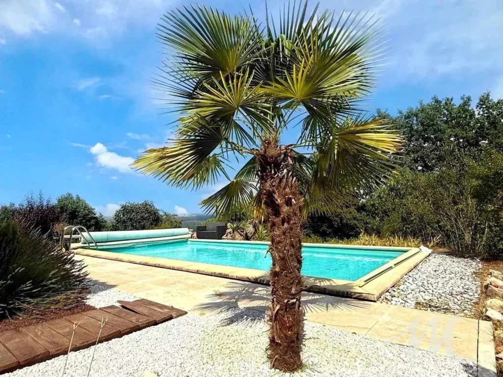 Piscine avec palmier et terrasse, villa Montmeyan