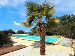 Piscine avec palmier et terrasse, villa Montmeyan