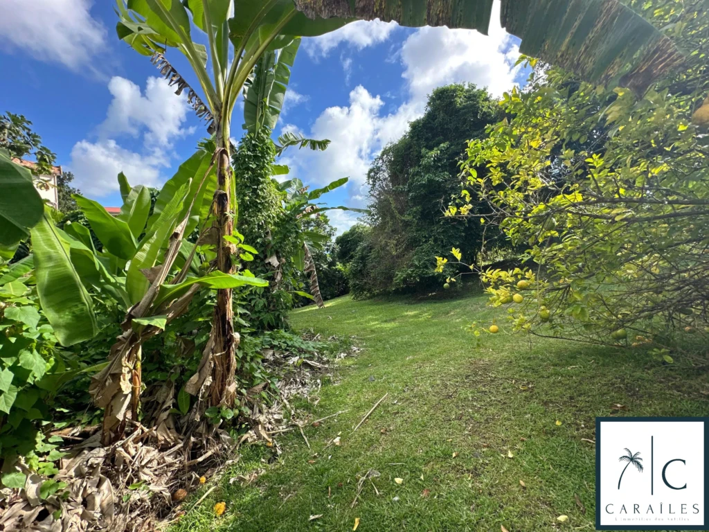 Jardin verdoyant idéal pour la détente et la promenade.