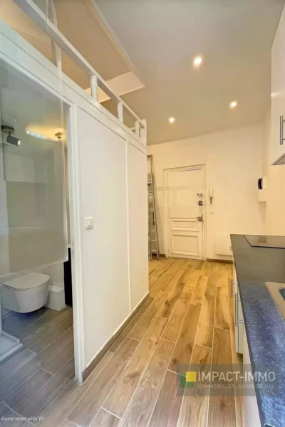 Studio avec petite cuisine avec une belle piece de vie et salle de douche.