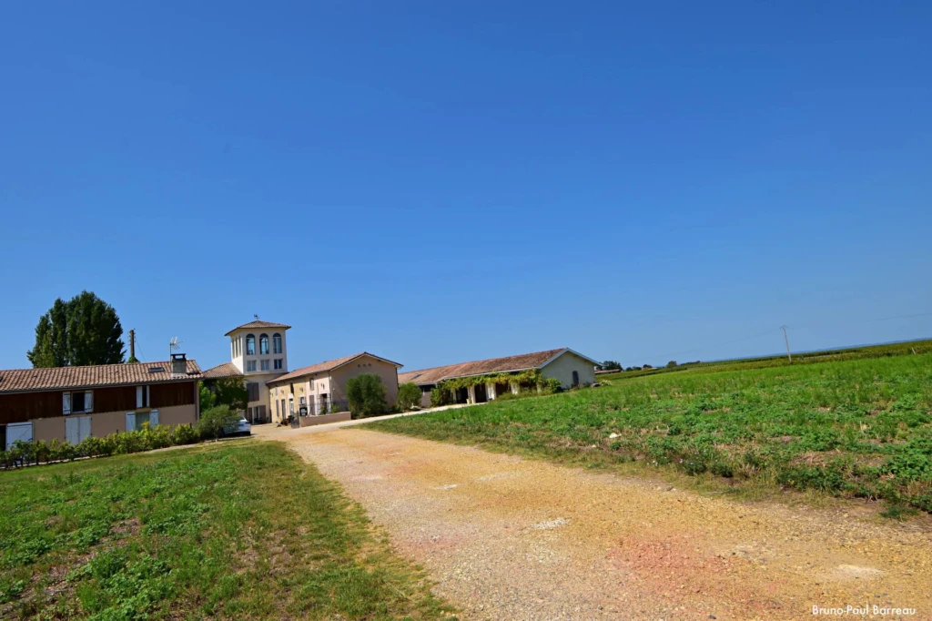 CHATEAU TRILLON - SAUTERNES