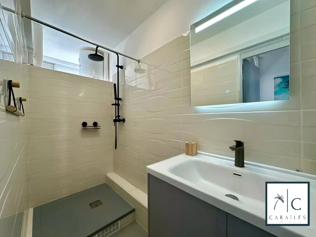 Belle salle de bains moderne avec douche à l'italienne et lavabo élégant.