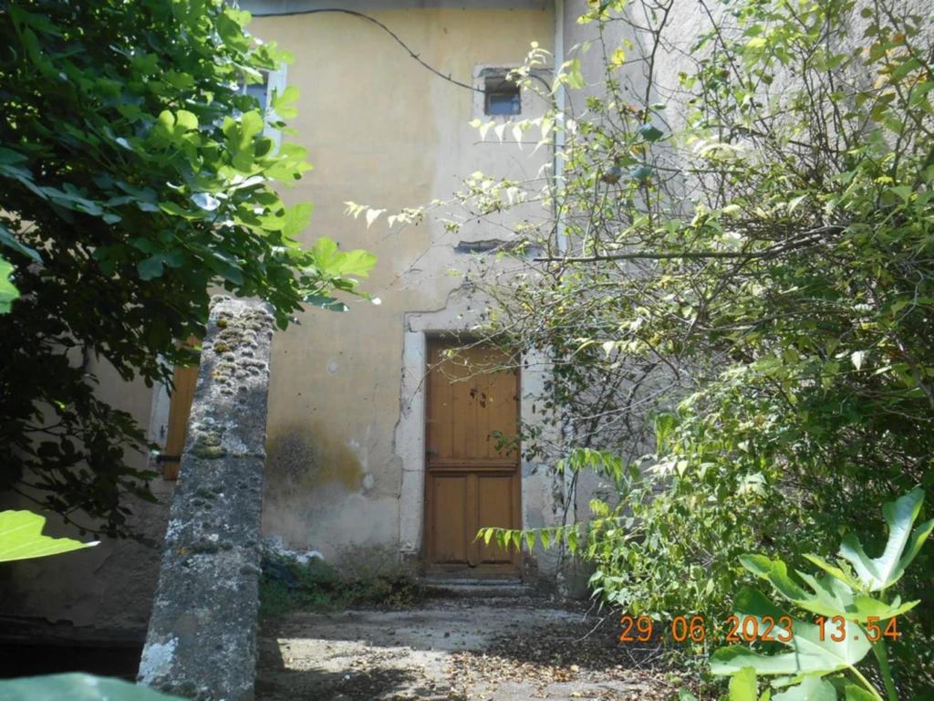 Photo 5