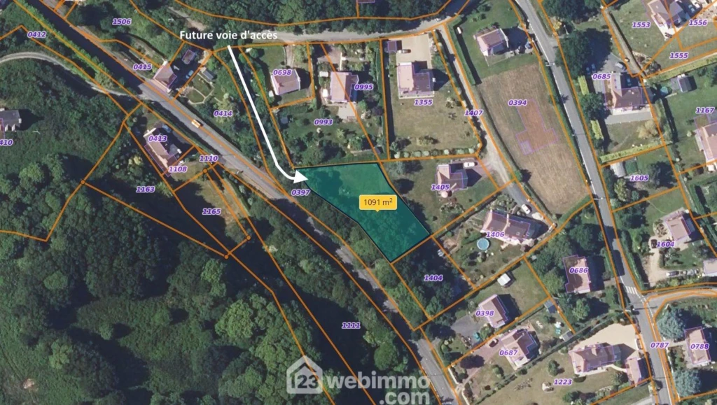 Photo 6