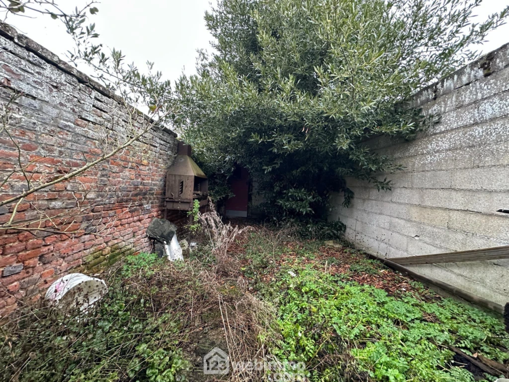 Photo 25