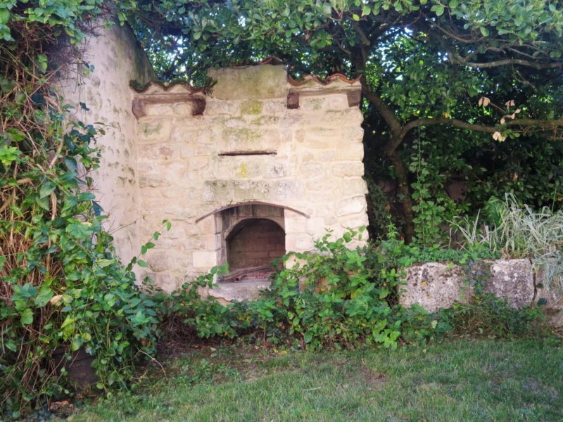 Photo 19