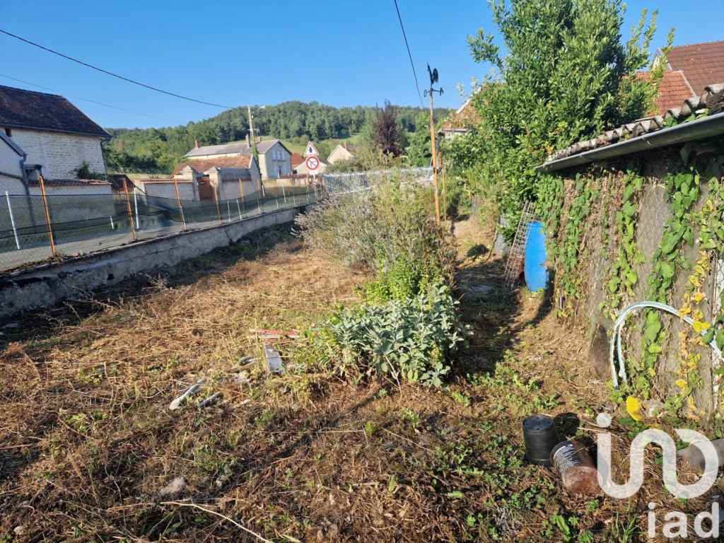 Photo 21