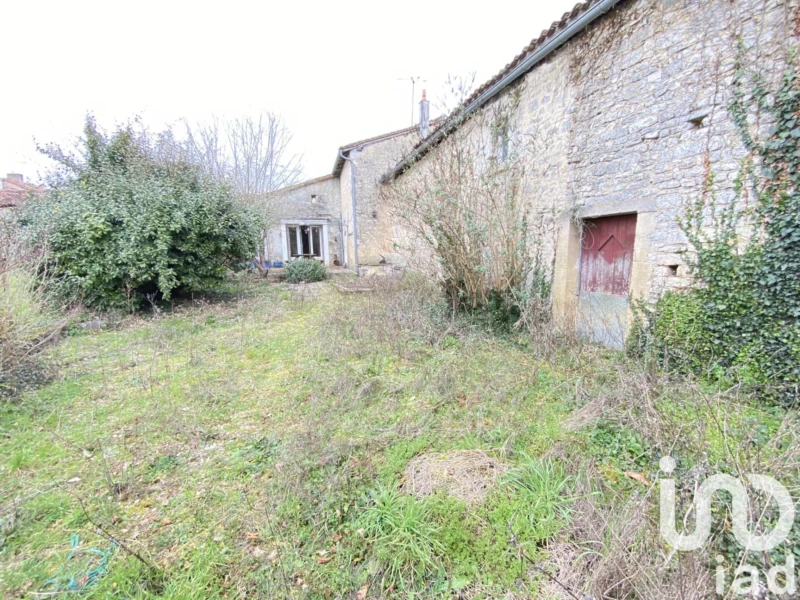 Photo 15